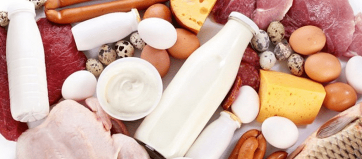 Ducan protein diet